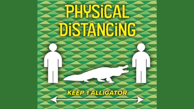 alligator 6 ft rule